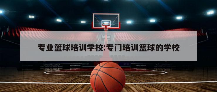 专业篮球培训学校:专门培训篮球的学校