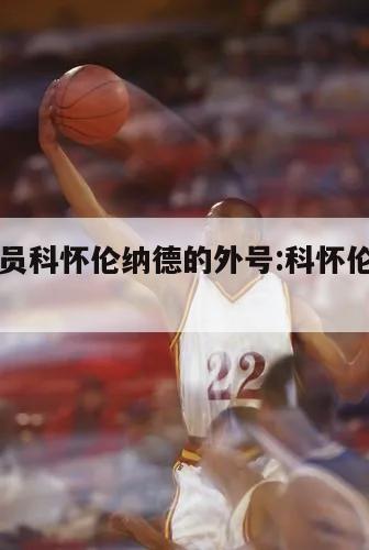 NBA球员科怀伦纳德的外号:科怀伦纳德绰号